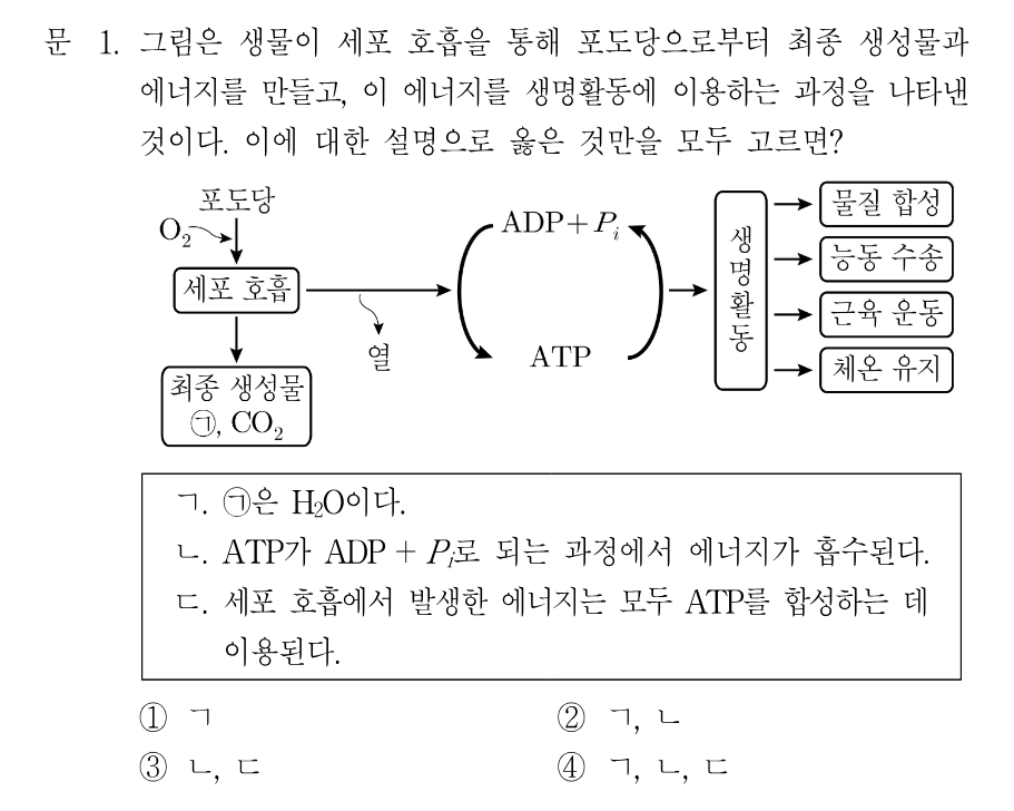 1번 문제 이미지 1