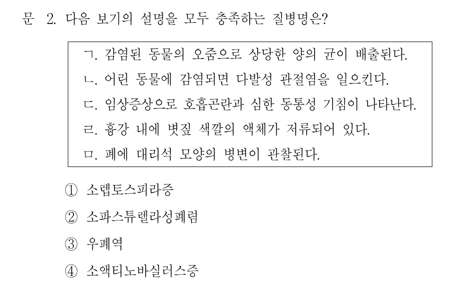 2번 문제 이미지 1