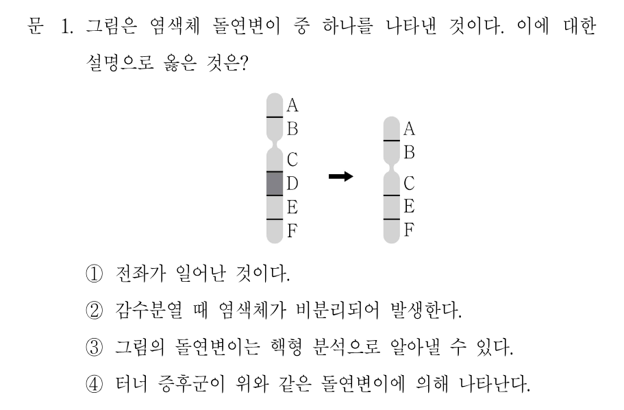 1번 문제 이미지 1