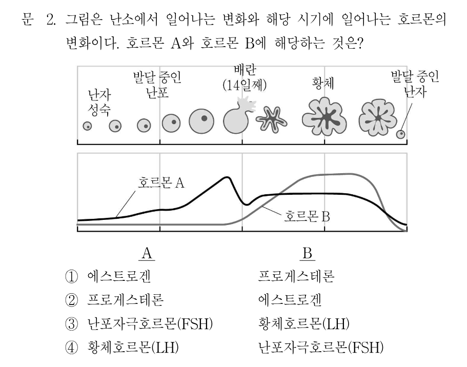 2번 문제 이미지 1