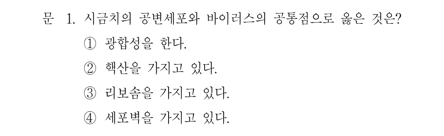 1번 문제 이미지 1