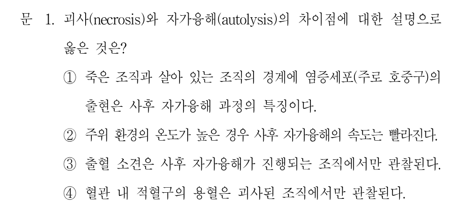1번 문제 이미지 1
