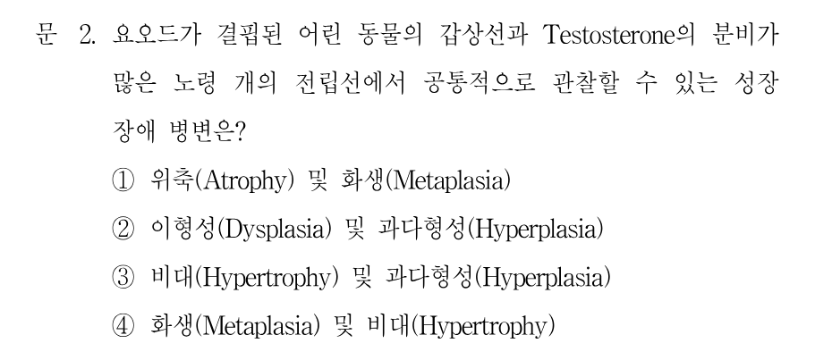 2번 문제 이미지 1