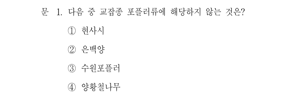 1번 문제 이미지 1