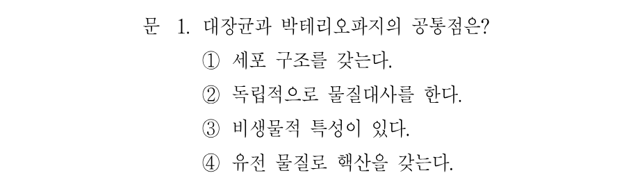 1번 문제 이미지 1